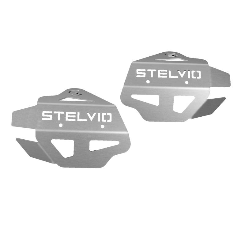 MyTech - Set Drosselklappenschutz, Schutz Drosselklappen, Schutzzubehör aus Aluminium - Moto Guzzi Stelvio 1200 - Stelvio 1200 NTX (Silber) von MyTech