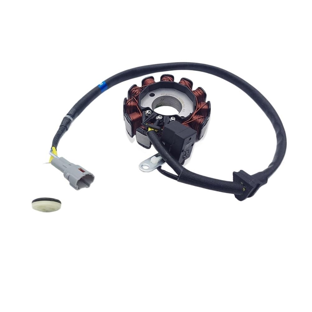 Für ZONGSHEN ZS177MM ZS194MQ-2 NC250 NC450 250cc 450cc Motorrad Magneto Stator Spule Motor Teile Standard Zylinderkopf Motorrad Stator Spule von NABIET