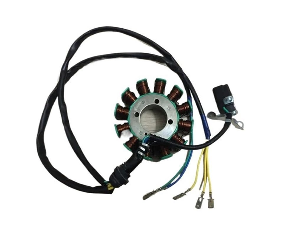 Motorrad-Statorspule Für CG200 CG250 12-stufige Statorspule Magnetischer Motorstator 140 W/160 W Motorrad Stator Spule von NABIET