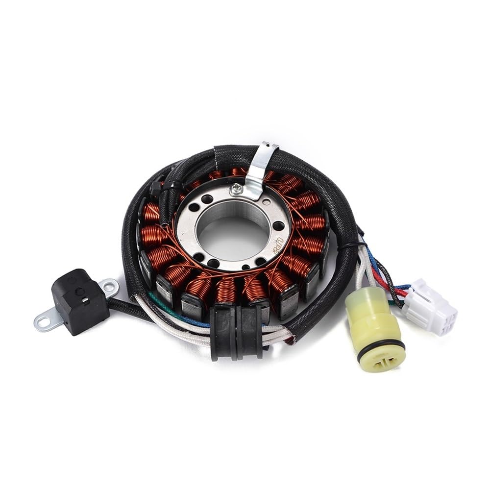 Stator Spule Für Ya&maha YFM250B Big Bear YFM250 YFM25B Bruin YFM250X Bear Tracker 250 YFM660R Für Raptor 660R 1P0-H1410-00 Motorrad Stator Spule von NABIET