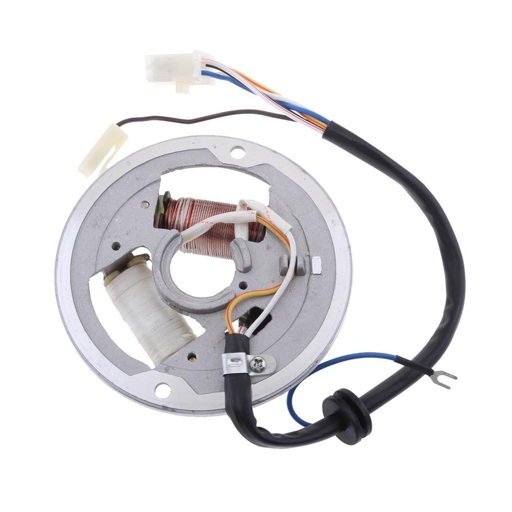 Zündspule Stator Platte Für PW80 PW 80 80 2-Spulen Motorrad Stator Spule Zündung Zubehör Magneto Motorrad Stator Spule von NABIET