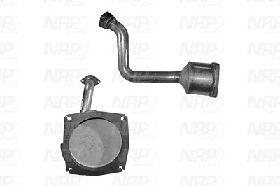 Nap Carparts Katalysator [Hersteller-Nr. CAK10122] für Citroën, Fiat, Lancia, Peugeot von NAP carPARTS