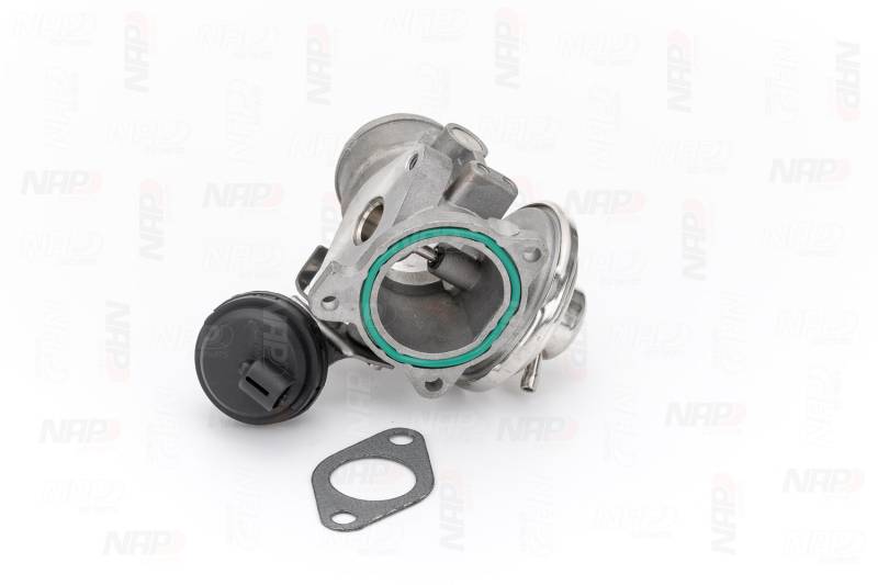 NAP carparts AGR-Ventil VW,AUDI,SKODA CAV10048 038129637B,038131501A,038131501E 045131501C,045131501L von NAP carparts