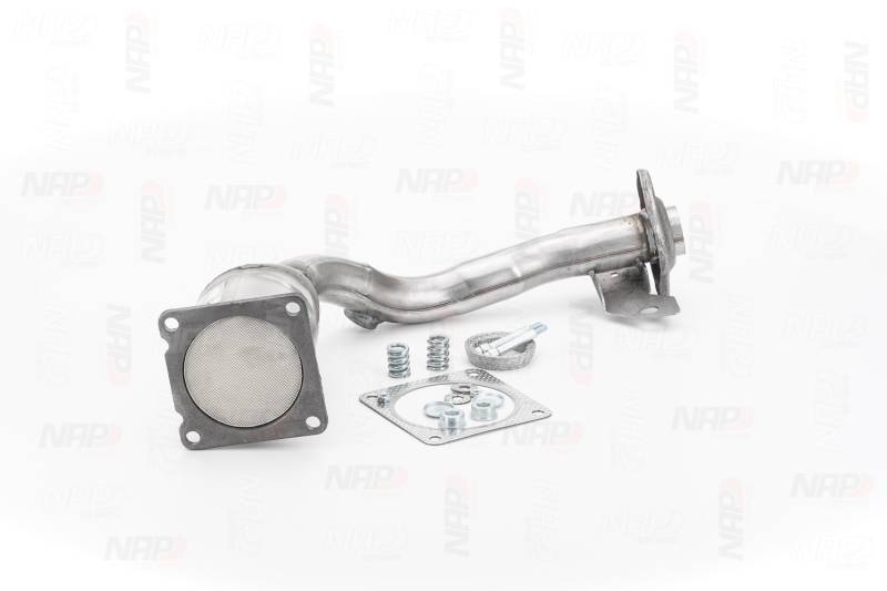 NAP carparts Katalysator PEUGEOT CAK10467 1731EW,1731L3,1731S4 1731W5,E129384,1731EV von NAP carparts