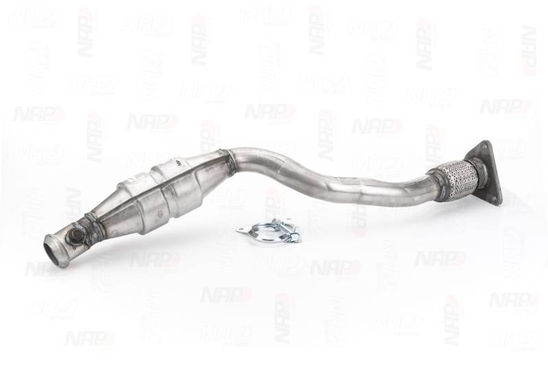 NAP carparts Katalysator RENAULT CAK10563 6025314393,6025317119,6025372675 von NAP carparts