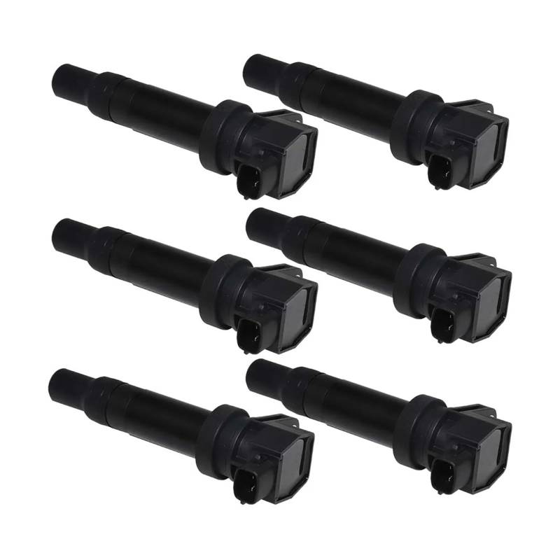 NEGRO Zündspule Passend for HYUNDAI GRANDEUR TG 3,3 2005-2010 SONATA V NF 2004-2012 Azera 273013CEA0 27301-3CEA0 Automotorzubehör Zündspule(6pcs) von NEGRO