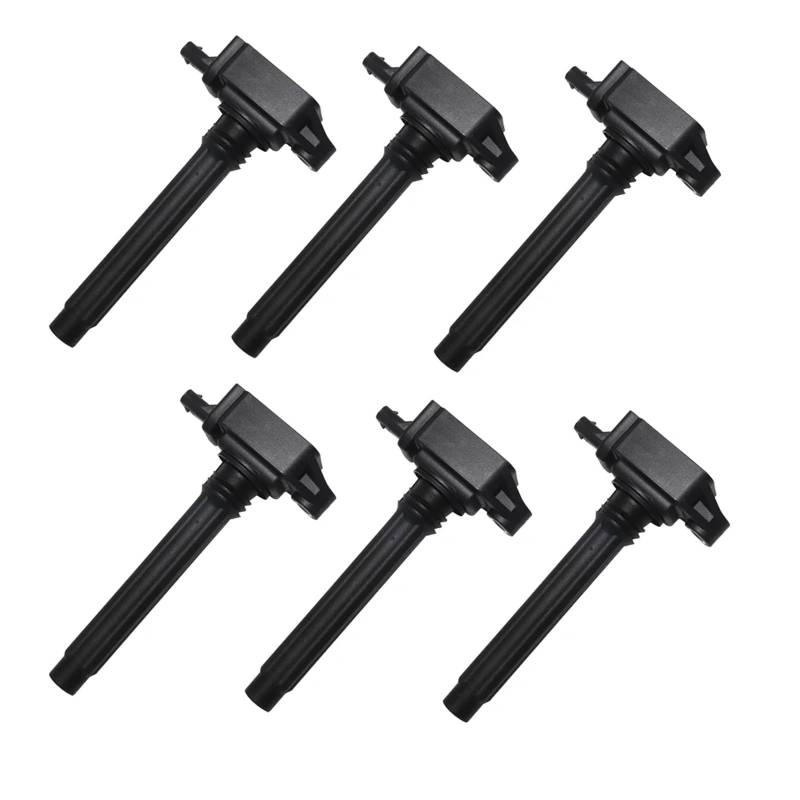 NEGRO Zündspule passend for CHRYSLER 300C 3.6L JEEP GRAND CHEROKEE IV 0221504032 05149168AI Professionelles Auto-Motorzubehör Zündspule(6pcs) von NEGRO