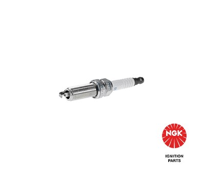 Ngk Zündkerze [Hersteller-Nr. 91215] für Nissan, Renault von NGK