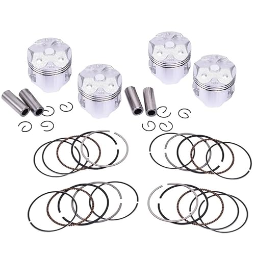 48,5 mm 48,75 mm 49 mm 49,25 mm 49,5 mm STD ~ +100 0,25~1,0 Motorrad-Motorkolbenringe-Kit for CBR250 MC19 1988-1989 CBR 250(4set 0.25) von NGNVKDID