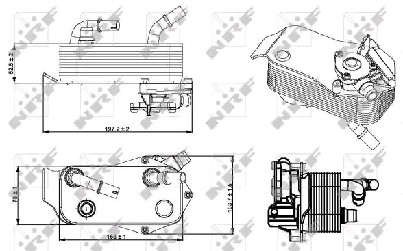 NRF Ölkühler BMW 31279 17217529499,17217551647 Ölkühler, Motoröl von NRF