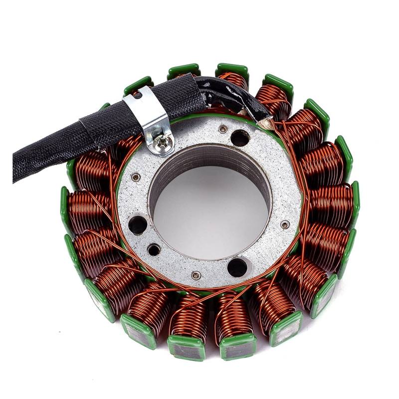 Motorrad Generator Stator Coil Kompatibel Mit Yamaha FZS1 FZS1000 FAZER 2001-2005 2002 2003 2004 5LV-81410-00 von NTOLAMPIX