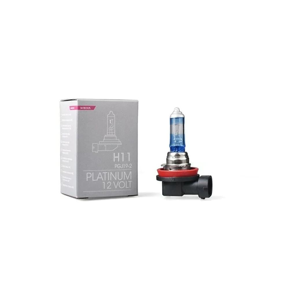 M-Tech NTY HALOGENLAMPE H11 PLATINUM EZ-H11ZPT von NTY