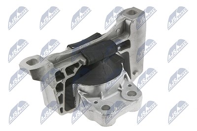 Nty Lagerung, Motor [Hersteller-Nr. ZPS-FR-020] für Ford von NTY