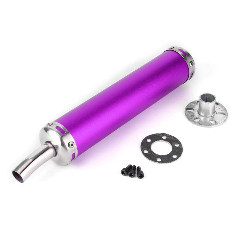 Niiyen Einlass Auspuffspitze,Motorrad Auspuff Schalldämpfer Rohrsystem,Edelstahl Auspuff Schalldämpfer 20mm/0,8in Modifizierte Teile für 2-Takt Motorrad(Violett) von Niiyen