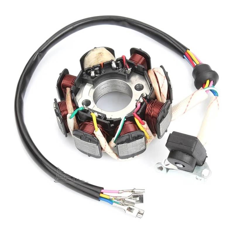 Motorrad Statorspule 1Set Motorrad Motor Zündung Startspule Magneto Acht Bühne Stator Für CB125-8 150CC 250CC ATV Dirt Bike Scooter Zwei Löcher von Nisza