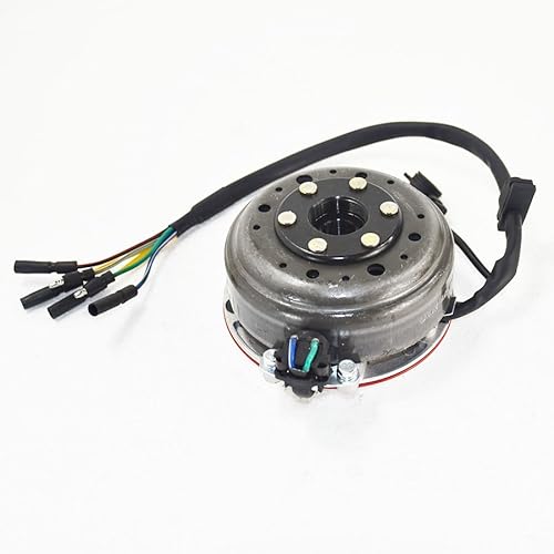 Motorrad Statorspule 6 Pole Spulen Magneto Stator Rotor Kit Zündung Schwungrad Für Motorrad Dirt Pit Bike Für LIFAN YINXIANG YX140 140CC Motor von Nisza