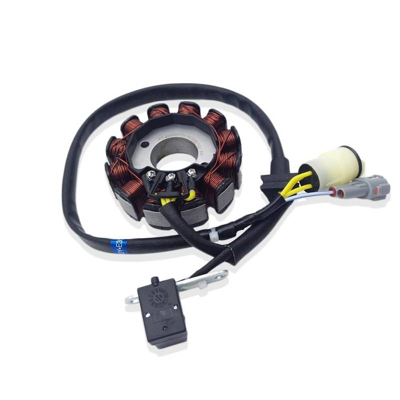 Motorrad Statorspule Motorrad Magneto Stator Spule Für ZONGSHEN ZS177MM ZS194MQ-2 Motor Teile Standard Zylinderkopf NC250 NC450 250cc 450cc von Nisza