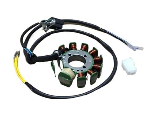 Motorrad Statorspule Motorrad Stator Spule FÜR Zongshen CG200 CG250 11 Pole DC Magneto Stator Spule Motorrad Spule Zündung Magneto Stator Spule von Nisza