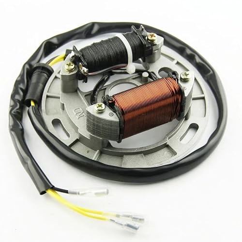 Motorrad Statorspule Motorrad Zündung Magneto Stator Spule Für S&uzuki LT80 Quadsport 1987-2006 Magneto Motor Stator Generator Spule von Nisza