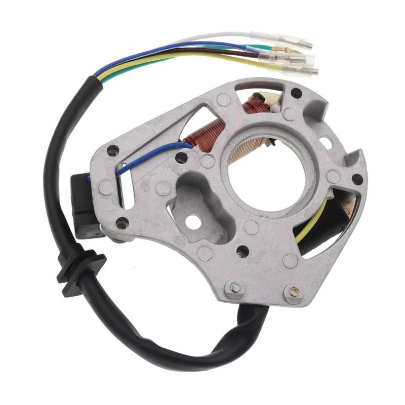 Motorrad Statorspule Stator 2 Spulen-Zündmagnetplatte Für 50 Cc 70 Cc 90 Cc 110 Cc 125 Cc Sunl ATV Quad Motorrad-Zünd-Statorspule von Nisza