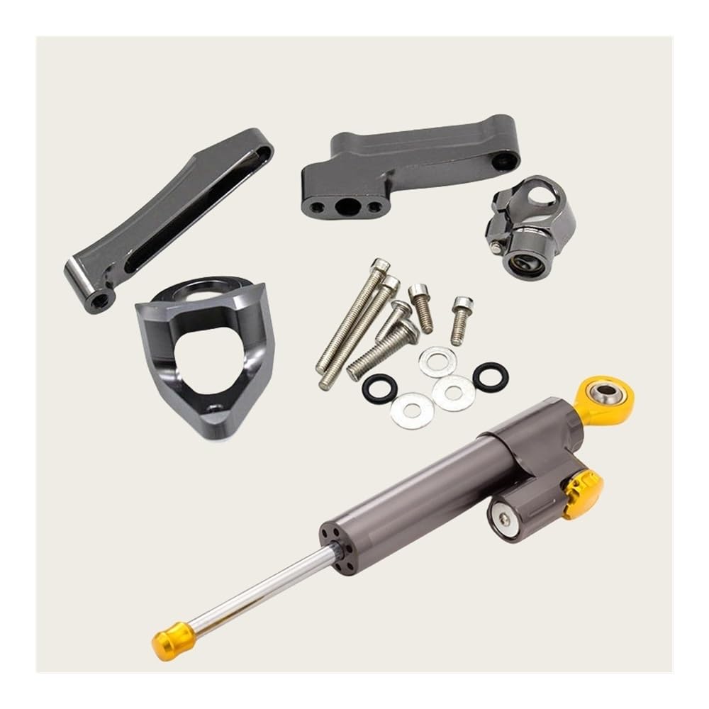 Für S&uzuki Für GSX1300R Für HAYABUSA 1300 1998 1999 2000-2019 Motorrad Lenkung Stabilisator Dämpfer Montage Halterung Kit Stabilisator Lenkungsd(Damper n Bracket G) von Niyade