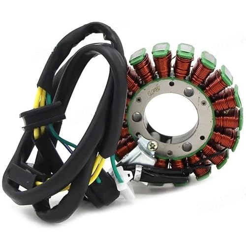 Niyade Stator Zündspule Motorrad Zubehör Zündspule Stator Für DR125SE Für DR200SE Für DR 200SE Für 125SE 32101-42A40 32101-42A30 Magneto Motor 12V von Niyade