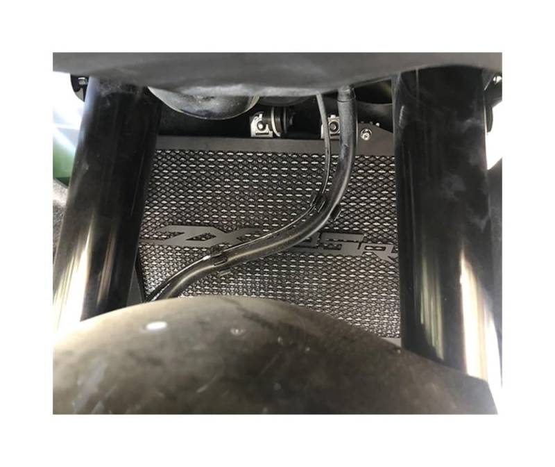 Motorrad Kühlergrill Schutz Schutz Abdeckung Für Kawa&saki ZX25R ZX-25R ZX-25 R ZX25 R 2021 Heizkörper Schutz Wasser Tank Schutz Grille von OEJDGYVNSX