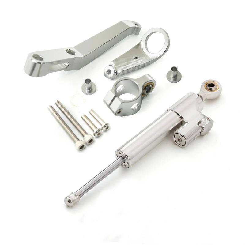 Motorrad Titan Lineal Für CBR954RR CBR954 RR CBR 954RR 2002 2003 Lenkungsdämpfer Stabilisator Dämpfer Halterung Unterstützung Kit(Silver set) von OJNHSFVPO