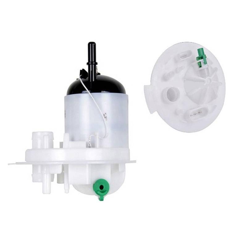 Kraftstoffpumpe, OEM: LR048891, kompatibel mit Range Rover Executive 3.0/5.0 von OMEROPLIX