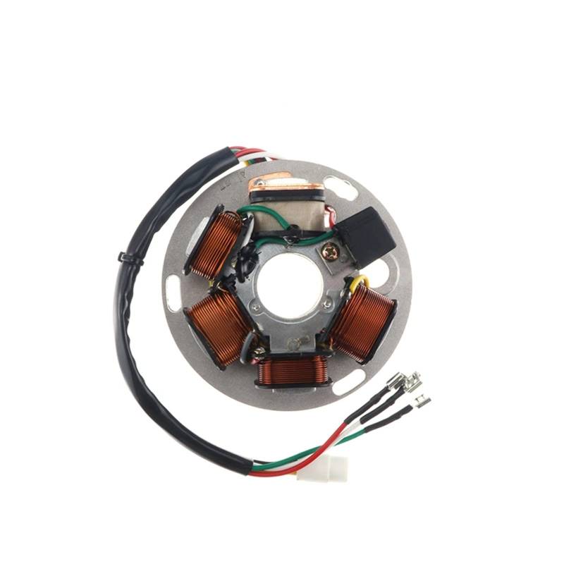 Motorrad Generator Stator Motor Spule Kompatibel Mit PIAGGIO VISPA PX125 PX150 PX200 PX125-150-200e PX 125 150 200 6 Pole Platte von OQUFINTER