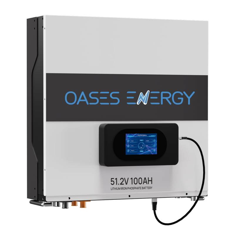 Oasesenergy 48V 100Ah Wall Mounted LiFePO4 Akku,5 KWh Lithium Batterie mit 100A BMS,Tiefe Zyklen 10 Jahre Lebensdauer, Wandmontierte Energiespeicher Batterie Für Solar und PV, Hausstromversorgung von Oasesenergy