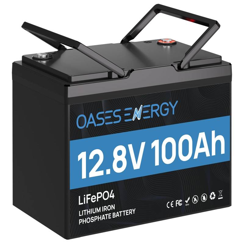 Oasesenergy LiFePO4 12V 100Ah Lithium Batterie Mini mit 100A BMS und 4000~15000 Zyklen, 10 Jahre Lebensdauer, 1280Wh 12V LiFePO4 Akku für Wohnmobil, Solarpanel Kit,Backup-Strom, Camping, Boote von Oasesenergy