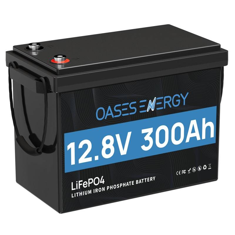 Oasesenergy LiFePO4 12V 300Ah Lithium Batterie Mini mit 200A BMS und 4000~15000 Zyklen, 10 Jahre Lebensdauer, 3840Wh 12V LiFePO4 Akku für Wohnmobil, Solarpanel Kit,Backup-Strom, Camping, Boote von Oasesenergy