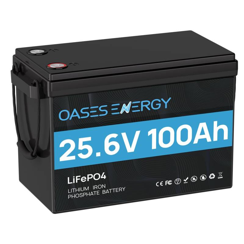 Oasesenergy LiFePO4 24V 100AH Lithium Batterie mit 100A BMS,Verbesserte Mini-Größe, 4000-15000 Zyklen, 2560Wh Nutzbare Energie für HeimSolaranlage,Wohnmobil, Camping, Boote, Off-Grid-Anwendungen von Oasesenergy