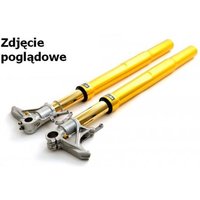 Stoßdämpfer OHLINS OH FGRT 211 von Ohlins