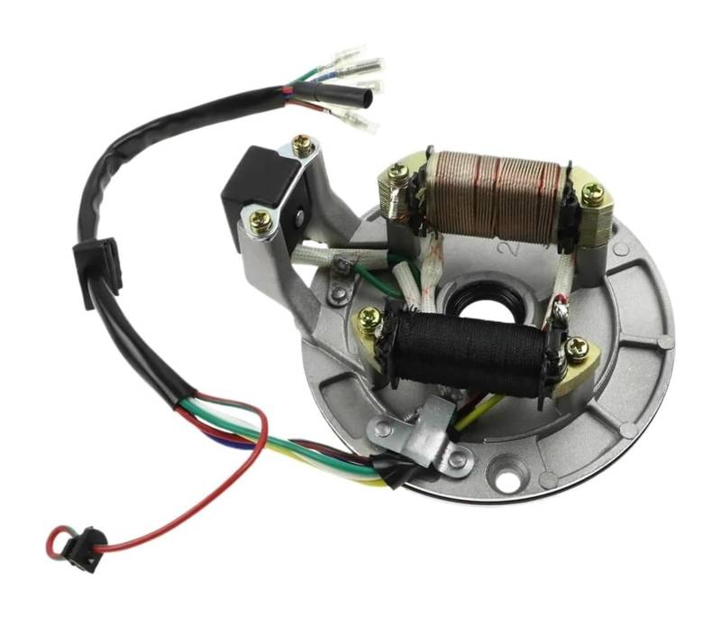 Motorrad-Zündstator-Magnetspule Für 50cc 70cc 90cc 110cc 125cc Für Kazuma XR50 SSR 107 110 125 Cc Für Baja ATV Quad Dirt Bike 2 Spule Zündung Magneto Stator Platte von Ohocean