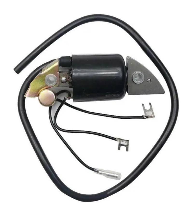 Motorrad-Zündstator-Magnetspule Für G150 Für G200 Für G300 Für G400 Motoren Zündmodul Spule Pack Zündungen Spulen Motorrad Zündspule von Ohocean