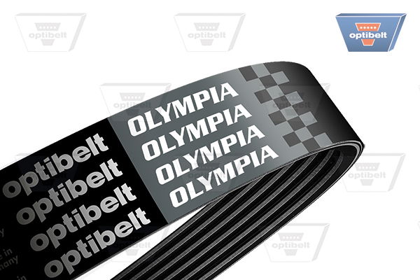 Keilrippenriemen Optibelt 6 PK 803 OLYMPIA von Optibelt