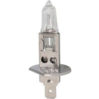 Glühlampe Halogen OSRAM H1 Truckstar Pro NextGen 24V, 70W, 1 Stück von Osram