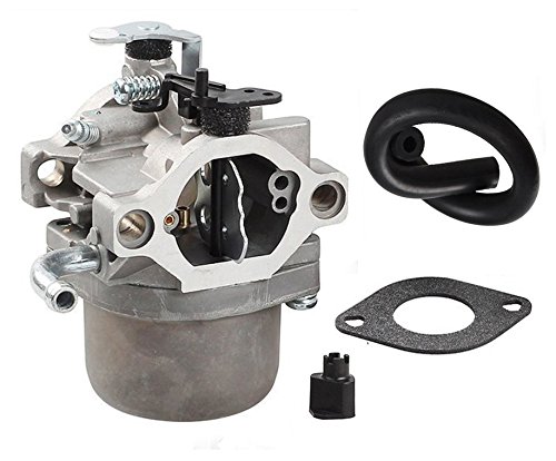 OxoxO Ersatz 590399 796077 Vergaser mit Kraftstoffleitungsdichtung für Briggs & Stratton Rasenmäher von OuyFilters