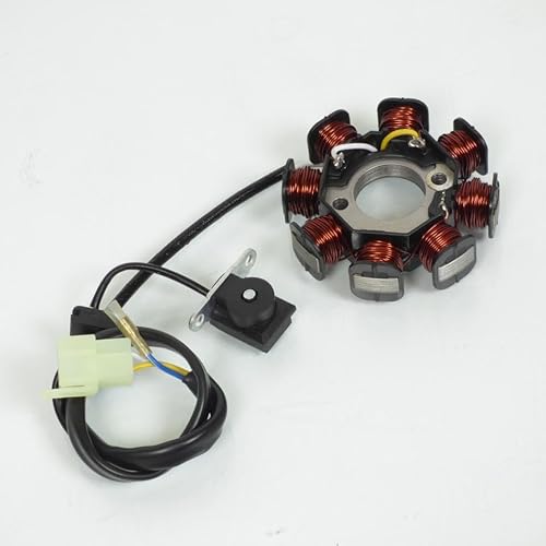 P2R Stator für Motorroller Sym 50 Orbit von P2R