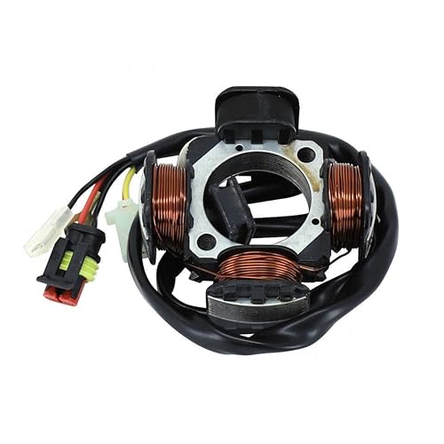 P2R Zündungsstator für Motorrad Beta 50 RR 2005 bis 2012 28.97810.000 von P2R