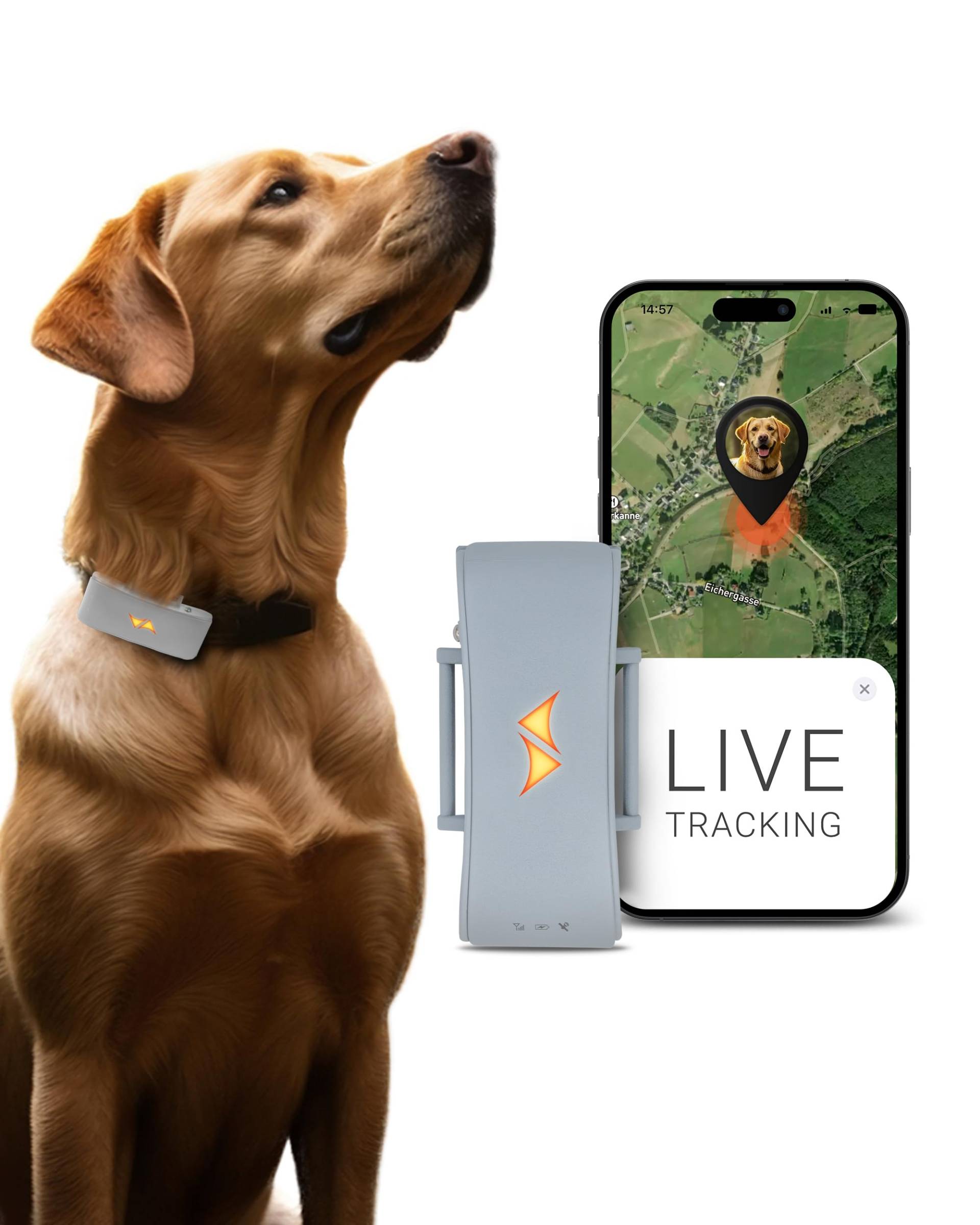 PAJ GPS Tracker für Hunde - 4G - Weglaufalarme + weltweite Live-Ortung - Akkusparmodus in Routernähe - Hunderückruf - mit Leucht-LEDs - Wasserdicht (IP67) - passt an jedes Halsband - grau von PAJ GPS