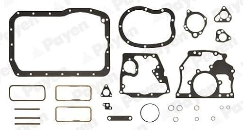 PAYEN EG411 Dichtungssatz, Kurbelgehäuse von PAYEN