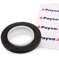 PAYEN Kurbelwellendichtring PTFE (Polytetrafluorethylen) NA5191 Radialwellendichtring,Simmerring OPEL,FORD,RENAULT,GRANDLAND X (A18),Zafira Life (K0) von PAYEN