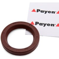 PAYEN Nockenwellendichtung NF841 Nockenwellendichtring,Wellendichtring, Nockenwelle FIAT,HYUNDAI,PEUGEOT,DUCATO Pritsche/Fahrgestell (230) von PAYEN