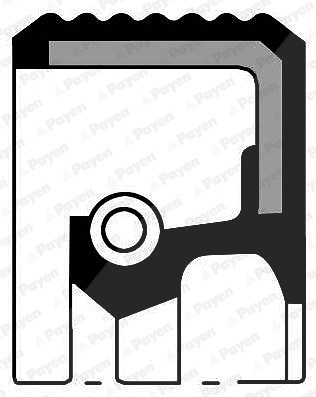 Payen Wellendichtring, Differential [Hersteller-Nr. NA5205] für Alfa Romeo, Citroën, Fiat, Lancia, Peugeot von PAYEN