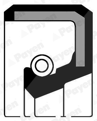 Payen Wellendichtring, Differential [Hersteller-Nr. NF032] für Talbot von PAYEN