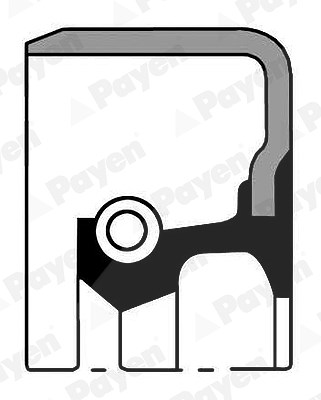 Payen Wellendichtring, Differential [Hersteller-Nr. NJ070] für Toyota von PAYEN