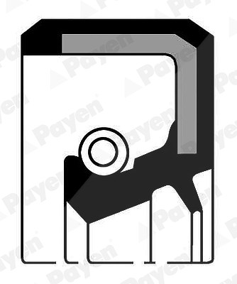 Payen Wellendichtring, Differential [Hersteller-Nr. NJ190] für Nissan von PAYEN